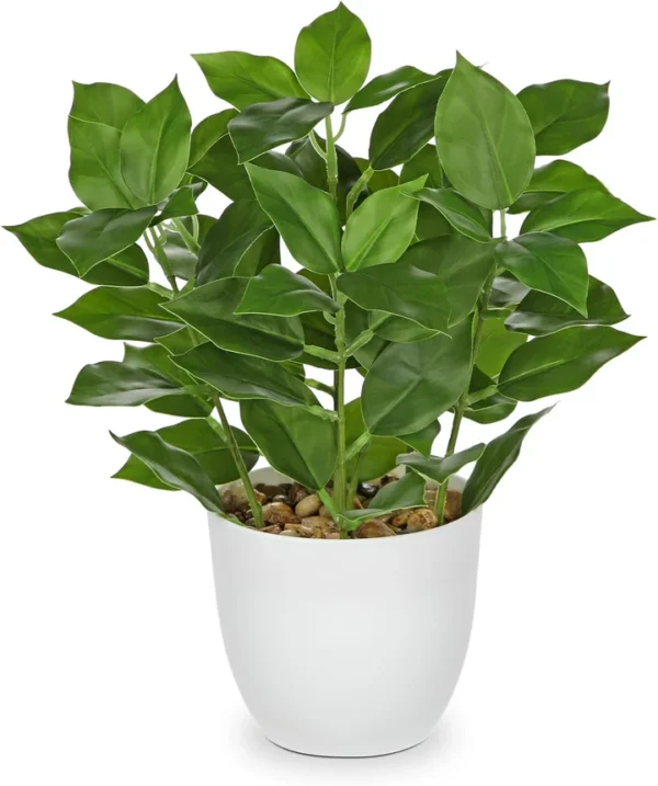 Briful Künstliche Ficus-Pflanze im Topf – Echtwirkende Dekopflanze für Zuhause – Bild 5
